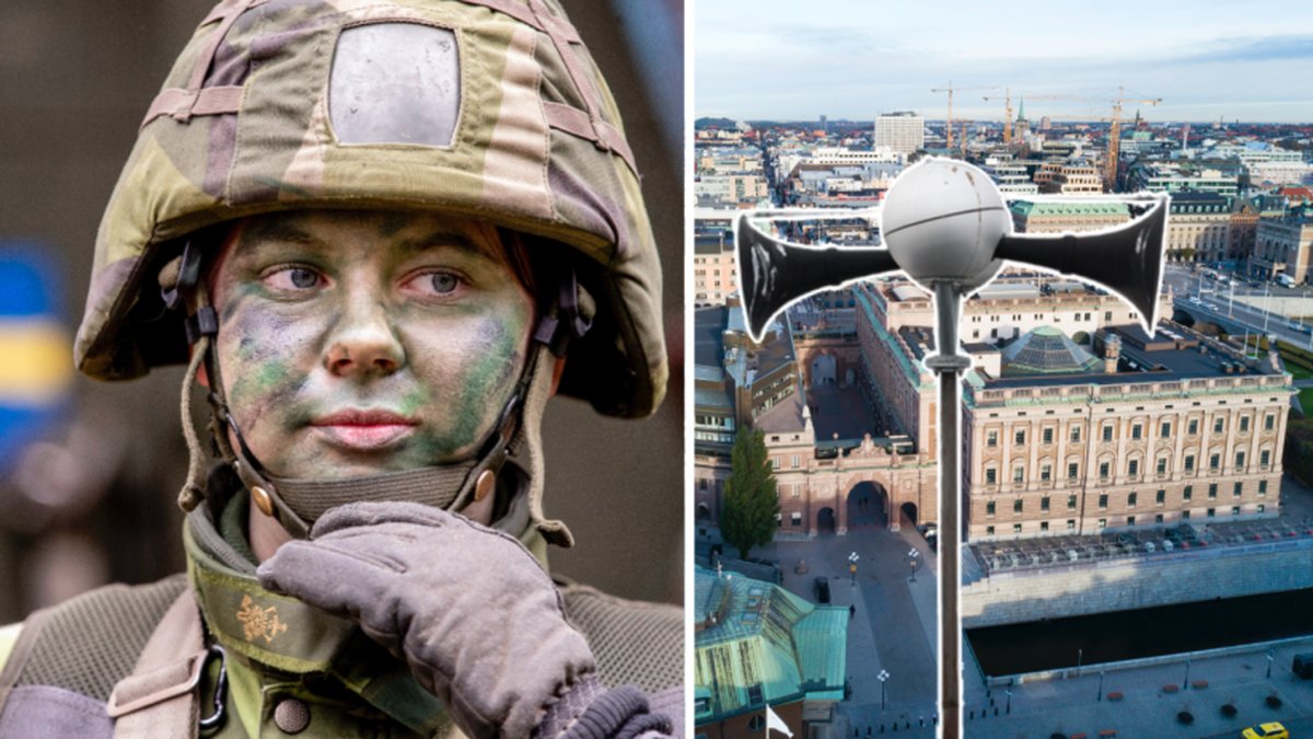 Genrebild på soldat och riksdagen.